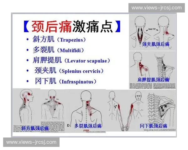 筋膜放松技术解析与应用探讨 促进身体恢复与缓解疼痛的有效方法